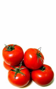 tomatos